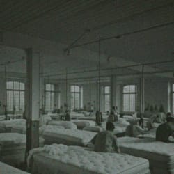 60 años de historia Elaxtic, fábrica de colchones en Galicia